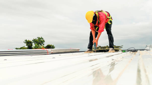 Best Metal Roofing Installation  in Alturas, FL