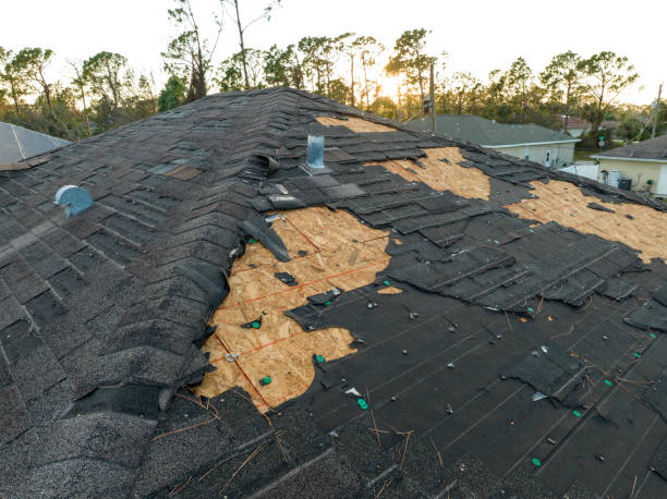 Best Solar Panel Roofing Installation  in Alturas, FL