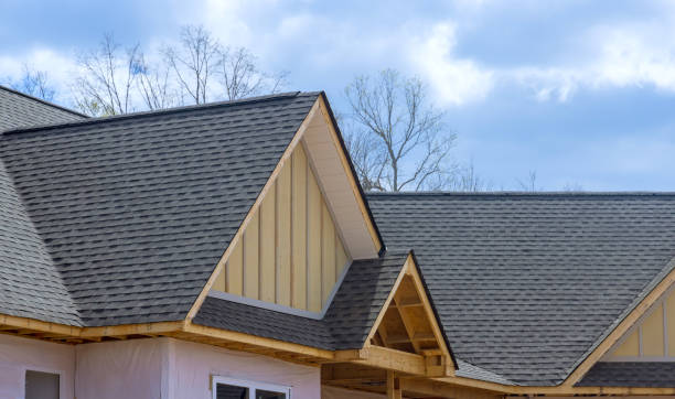 Best Gutter Installation and Repair  in Alturas, FL