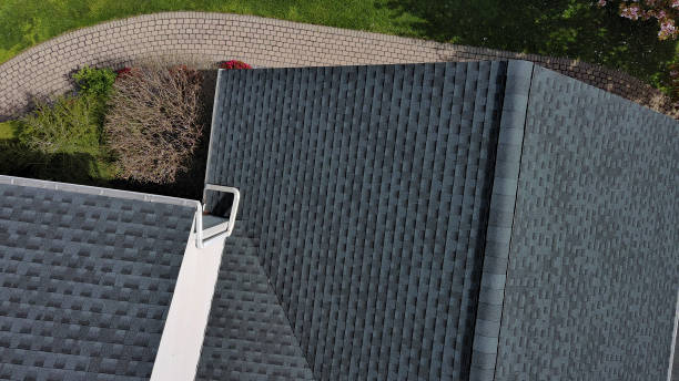Best Roof Insulation Installation  in Alturas, FL